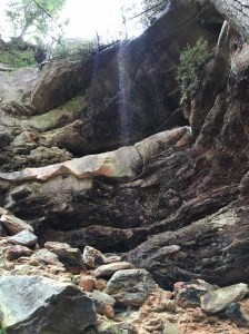 Gray's Arch Red River Gorge