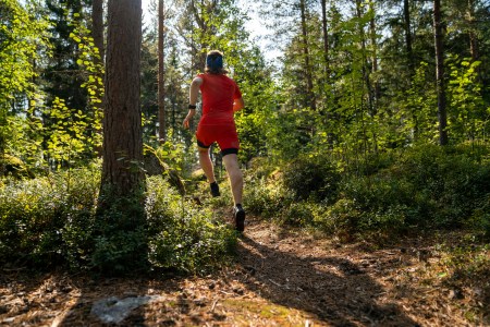 Unlock Adventure in the Best Places For Arkansas Trail Running